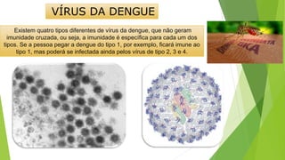 VÍRUS DA DENGUE
Existem quatro tipos diferentes de vírus da dengue, que não geram
imunidade cruzada, ou seja, a imunidade é específica para cada um dos
tipos. Se a pessoa pegar a dengue do tipo 1, por exemplo, ficará imune ao
tipo 1, mas poderá se infectada ainda pelos vírus de tipo 2, 3 e 4.
 