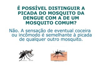 É POSSÍVEL DISTINGUIR A
PICADA DO MOSQUITO DA
DENGUE COM A DE UM
MOSQUITO COMUM?
Não. A sensação de eventual coceira
ou incômodo é semelhante à picada
de qualquer outro mosquito.
 