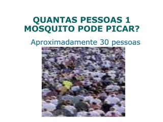 QUANTAS PESSOAS 1
MOSQUITO PODE PICAR?
Aproximadamente 30 pessoas
 