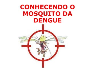 CONHECENDO O
MOSQUITO DA
DENGUE
 