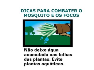 DICAS PARA COMBATER O
MOSQUITO E OS FOCOS
 