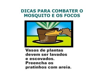 DICAS PARA COMBATER O
MOSQUITO E OS FOCOS
 