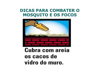 DICAS PARA COMBATER O
MOSQUITO E OS FOCOS
 