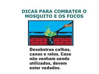 DICAS PARA COMBATER O
MOSQUITO E OS FOCOS
 