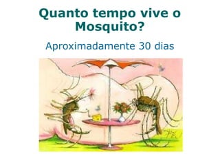 Quanto tempo vive o
Mosquito?
Aproximadamente 30 dias
 