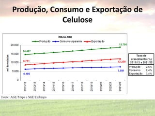 Produção, Consumo e Exportação de
Celulose
31
 