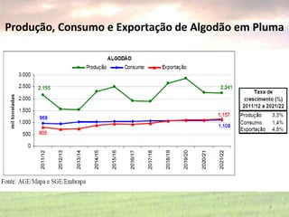 Produção, Consumo e Exportação de Algodão em Pluma
9
 