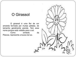 O Girassol	O girassol é uma flor de cor amarela formada por muitas pétalas, de tamanho geralmente grande. Tem esse nome porque está voltada para o sol.	Como símbolo da Páscoa, representa a busca da luz.9