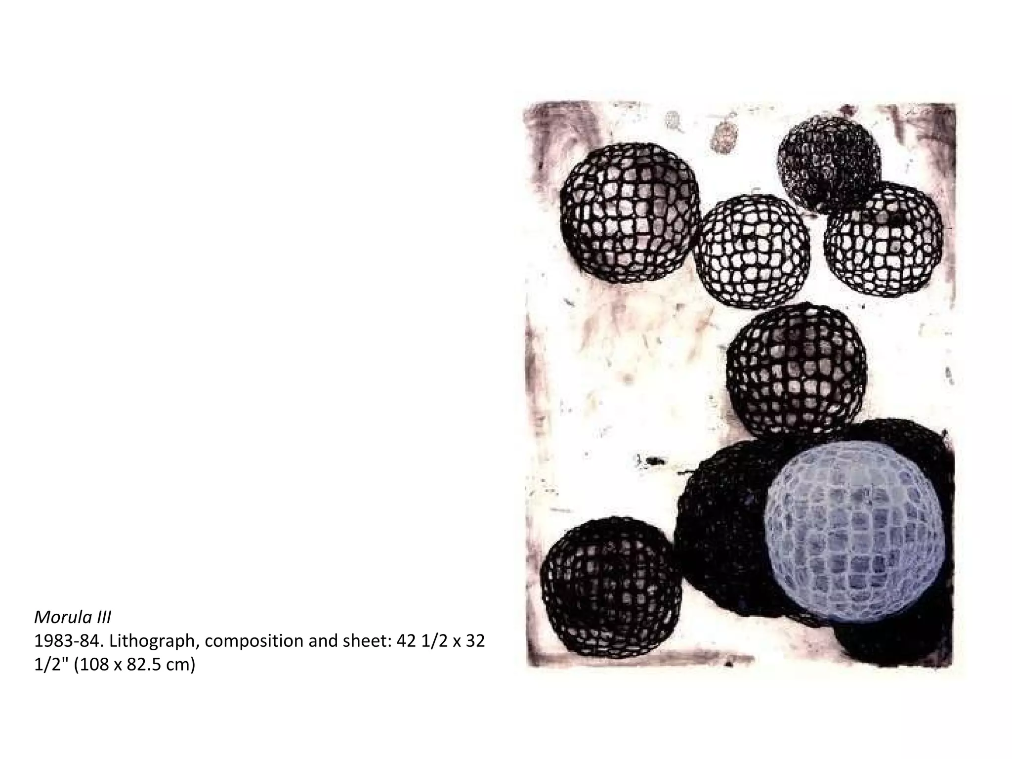 Morula III 1983-84. Lithograph, composition and sheet: 42 1/2 x 32 1/2" (108 x 82.5 cm) 