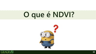 28
O que é NDVI?
 