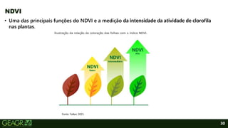 30
• Uma das principais funções do NDVI e a medição da intensidade da atividade de clorofila
nas plantas.
NDVI
Fonte: Falker, 2021.
Ilustração da relação da coloração das folhas com o índice NDVI.
 