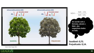 33
De acordo com a
fórmula, calcule o
Ndvi , dos
respectivos dados
ao lado.
Saudável: 0,72.
Prejudicada: 0,14.
Fonte: Victor Hugo, 2021.
 