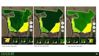 38
• Fonte: One Soil- Acesso 2021
Fonte: One Soil- Acesso 2021. Fonte: One Soil- Acesso 2021. Fonte: One Soil- Acesso 2021.
 