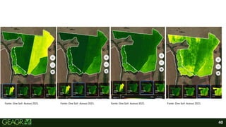 40
Fonte: One Soil- Acesso 2021. Fonte: One Soil- Acesso 2021. Fonte: One Soil- Acesso 2021. Fonte: One Soil- Acesso 2021.
 