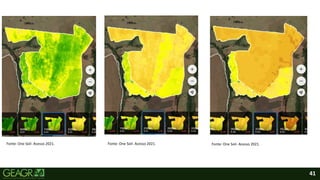 41
Fonte: One Soil- Acesso 2021. Fonte: One Soil- Acesso 2021. Fonte: One Soil- Acesso 2021.
 
