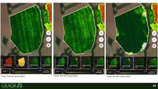 43
• ‘
Fonte: One Soil- Acesso 2021. Fonte: One Soil- Acesso 2021. Fonte: One Soil- Acesso 2021.
 