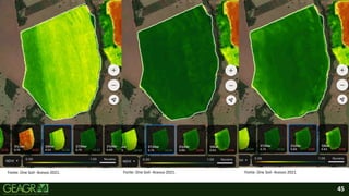 45
Fonte: One Soil- Acesso 2021. Fonte: One Soil- Acesso 2021. Fonte: One Soil- Acesso 2021.
 
