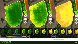 46
Fonte: One Soil- Acesso 2021. Fonte: One Soil- Acesso 2021. Fonte: One Soil- Acesso 2021.
 