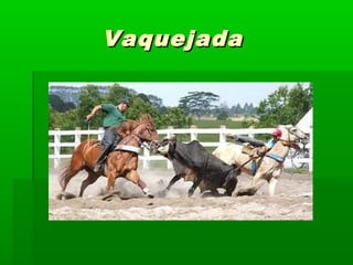VaquejadaVaquejada
 