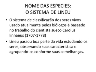 NOME DAS ESPECIES:O SISTEMA DE LINEUO sistema de classificação dos seres vivos usado atualmente pelos biólogos é baseado no trabalho do cientista sueco Carolus linnaeus (1707-1778)Lineu passou boa parte da vida estudando os seres, observando suas característica e agrupando-os conforme suas semelhanças.