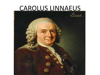 CAROLUS LINNAEUS