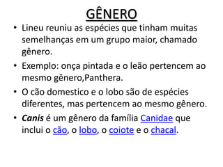 GÊNEROLineu reuniu as espécies que tinham muitas semelhanças em um grupo maior, chamado gênero.Exemplo: onça pintada e o leão pertencem ao mesmo gênero,Panthera.O cão domestico e o lobo são de espécies diferentes, mas pertencem ao mesmo gênero.Canis é um gênero da família Canidae que inclui o cão, o lobo, o coiote e o chacal.