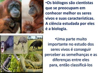 Os biólogos são cientistas que se preocupam em conhecer melhor os seres vivos e suas características. A ciência estudada por eles é a biologia.