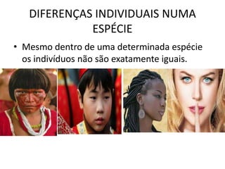 DIFERENÇAS INDIVIDUAIS NUMA ESPÉCIEMesmo dentro de uma determinada espécie os indivíduos não são exatamente iguais.