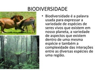 BIODIVERSIDADEBiodiversidade é a palavra usada para expressar a variedade de espécies de seres vivos que existem em nosso planeta, a variedade de aspectos que existem dentro de uma mesma espécie e também a complexidade das interações entre as diversas espécies de uma região.