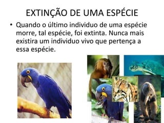 EXTINÇÃO DE UMA ESPÉCIEQuando o último individuo de uma espécie morre, tal espécie, foi extinta. Nunca mais existira um individuo vivo que pertença a essa espécie.