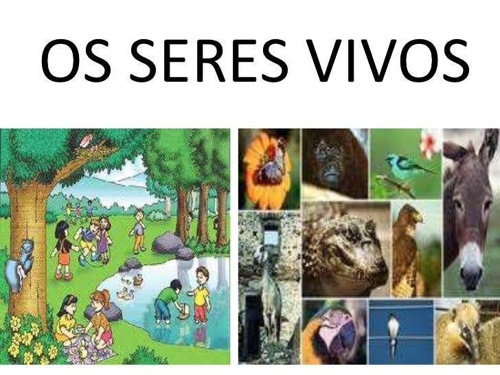 Quais Seres Vivos Citados Na Entrevista Você Já Viu