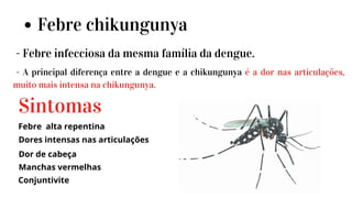 Febre chikungunya
- Febre infecciosa da mesma família da dengue.
Febre alta repentina
Sintomas
Dores intensas nas articulações
Manchas vermelhas
Dor de cabeça
Conjuntivite
- A principal diferença entre a dengue e a chikungunya é a dor nas articulações,
muito mais intensa na chikungunya.
 