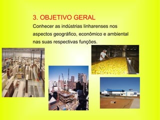 3. OBJETIVO GERAL
Conhecer as indústrias linharenses nos
aspectos geográfico, econômico e ambiental
nas suas respectivas funções.
 