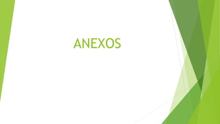 ANEXOS
 