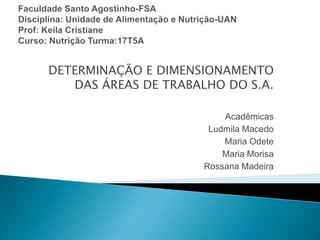 DETERMINAÇÃO E DIMENSIONAMENTO
DAS ÁREAS DE TRABALHO DO S.A.
Acadêmicas
Ludmila Macedo
Maria Odete
Maria Morisa
Rossana Madeira
 