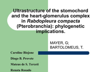 Ultrastructure of the stomochord
and the heart-glomerulus complex
in Rabdopleura compacta
(Pterobranchia): phylogenetic
implications.
MAYER, G;
BARTOLOMEUS, T.
Caroline Biojone
Diogo B. Provete
Mateus de S. Terceti
Renata Rosado
 