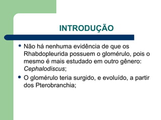 INTRODUÇÃO
 Não há nenhuma evidência de que os
Rhabdopleurida possuem o glomérulo, pois o
mesmo é mais estudado em outro gênero:
Cephalodiscus;
 O glomérulo teria surgido, e evoluído, a partir
dos Pterobranchia;
 