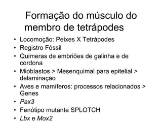 Formação do músculo do
membro de tetrápodes
• Locomoção: Peixes X Tetrápodes
• Registro Fóssil
• Quimeras de embriões de galinha e de
cordona
• Mioblastos > Mesenquimal para epitelial >
delaminação
• Aves e mamíferos: processos relacionados >
Genes
• Pax3
• Fenótipo mutante SPLOTCH
• Lbx e Mox2
 