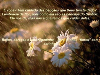 E você? Tem cuidado das bênçãos que Deus tem te dado? Lembra-se da flor, pois como ela são as bênçãos do Senhor: Ele nos dá, mas nós é que temos que cuidar delas. Beijos, abraços e uma regadinha... Para minhas “flores” com carinho. 