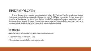 EPIDEMIOLOGIA
É uma doença infecciosa de importância nos países do Terceiro Mundo, sendo rara quando
coberturas vacinais homogêneas são obtidas em mais de 80% da população. É mais frequente a
ocorrência da doença em áreas com baixas condições socioeconômicas e sanitárias, onde a
aglomeração de pessoas é maior. Comumente, estas áreas apresentam baixa cobertura vacinal e,
portanto, não é obtido impacto no controle da transmissão da doença.
NO BRASIL:
• Decréscimo de número de casos notificados e confirmado:
Decorrência da vacina com DTP;
Registros de casos isolados e surtos pontuais.
 