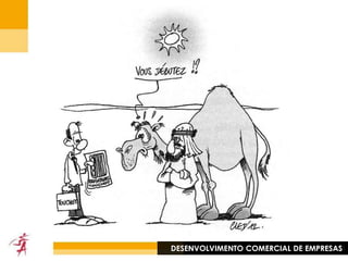 DESENVOLVIMENTO COMERCIAL DE EMPRESAS
