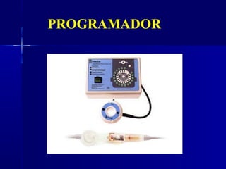 PROGRAMADOR
 