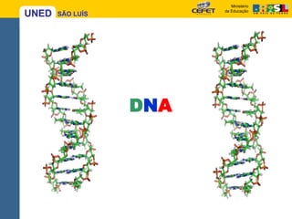 DNA 