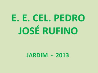 E. E. CEL. PEDRO
JOSÉ RUFINO
JARDIM - 2013

 