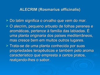 ALECRIM (Rosmarius officinalis) Do latim significa o orvalho que vem do mar. O alecrim ,  pequeno arbusto de folhas perenes e aromáticas, pertence à família das labiadas. É uma planta originaria dos países mediterrâneos, mas cresce bem em muitos outros lugares. Trata-se de uma planta conhecida por suas propriedades terapêuticas e também pelo aroma característico que empresta a certos pratos, realçando-lhes o sabor. 