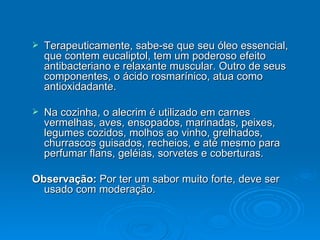 Terapeuticamente, sabe-se que seu óleo essencial, que contem eucaliptol, tem um poderoso efeito antibacteriano e relaxante muscular. Outro de seus componentes, o ácido rosmarínico, atua como antioxidadante. Na cozinha, o alecrim é utilizado em carnes vermelhas, aves, ensopados, marinadas, peixes, legumes cozidos, molhos ao vinho, grelhados, churrascos guisados, recheios, e até mesmo para perfumar flans, geléias, sorvetes e coberturas.  Observação:  Por ter um sabor muito forte, deve ser usado com moderação. 
