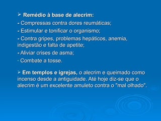 Remédio à base de alecrim: -  Compressas contra dores reumáticas; -  Estimular e tonificar o organismo; -  Contra gripes, problemas hepáticos, anemia, indigestão e falta de apetite; -  Aliviar crises de asma; Combate a tosse. Em templos e igrejas,  o alecrim e queimado como incenso desde a antiguidade. Até hoje diz-se que o alecrim é um excelente amuleto contra o "mal olhado". 