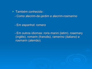 Também conhecida : - Como alecrim-de-jardim e alecrim-rosmarino  - Em espanhol: romero   - Em outros idiomas: roris marini (latim), rosemary (inglês), romarin (francês), ramerino (italiano) e rosmarin (alemão).   