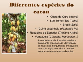 Diferentes espécies do
cacau
• Costa do Ouro (Accra)
• São Tomé (São Tomé)
• Brasil (Baía)
• Guiné espanhola (Fernando Po)
• República do Equador (Trinité e Arriba)
• Venezuela (Caraque, Maracaibo...)
As espécies mais finas são sujeitas a
tratamento especial: são «terreadas» -
as favas são mergulhadas em água do
mar com argila vermelha e quando
secam tornam-se mais resistentes.
 