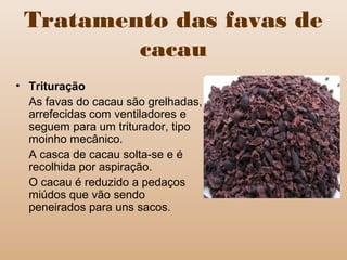 Tratamento das favas de
cacau
• Trituração
As favas do cacau são grelhadas,
arrefecidas com ventiladores e
seguem para um triturador, tipo
moinho mecânico.
A casca de cacau solta-se e é
recolhida por aspiração.
O cacau é reduzido a pedaços
miúdos que vão sendo
peneirados para uns sacos.
 